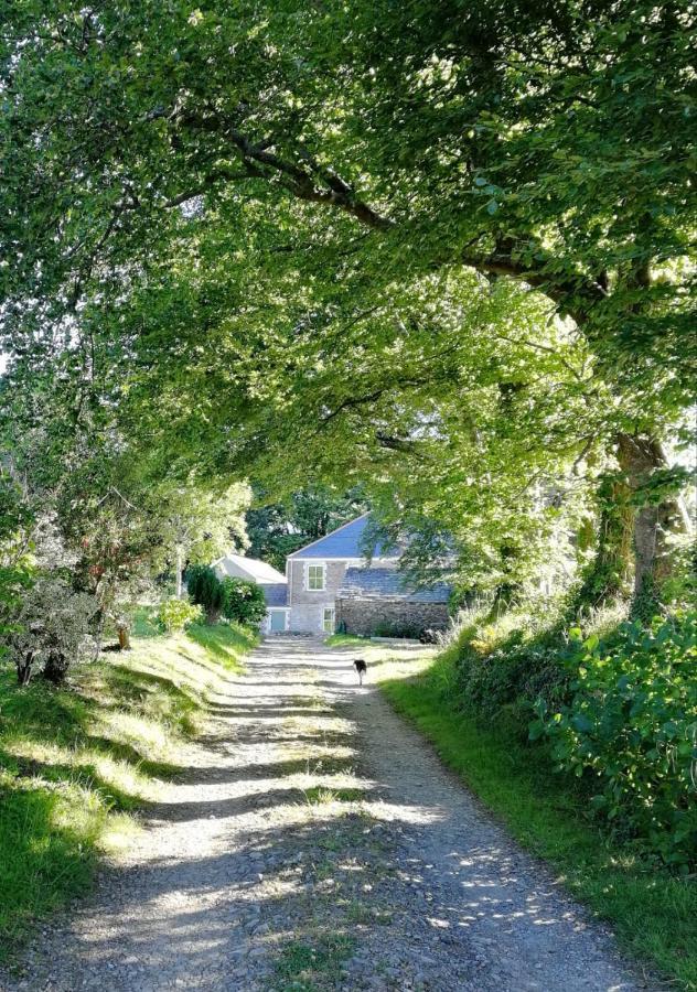 Cornwall, Looe - Magical Pendriffey Pelynt Bagian luar foto