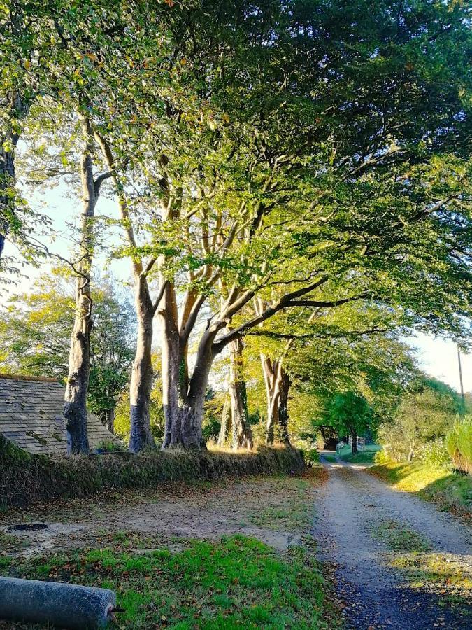 Cornwall, Looe - Magical Pendriffey Pelynt Bagian luar foto